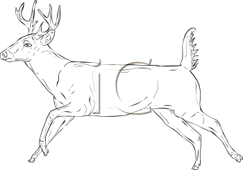 Deer Clipart