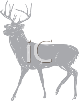 Deer Clipart