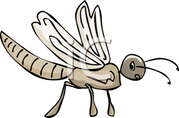 Insect Clipart