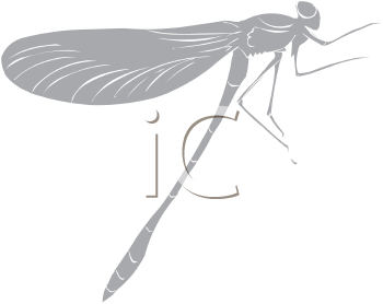 Insect Clipart