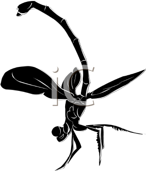 Insect Clipart