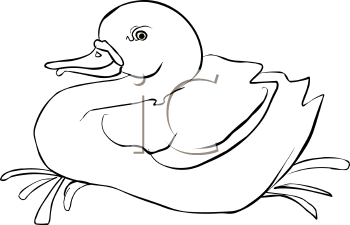 Bird Clipart