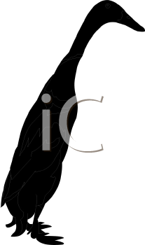 Bird Clipart