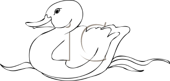 Bird Clipart