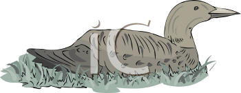 Farm Animal Clipart