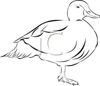 Bird Clipart