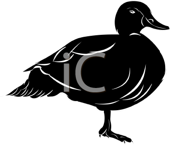 Bird Clipart