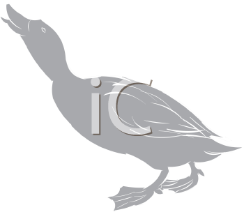 Bird Clipart