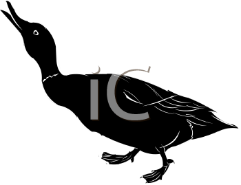 Bird Clipart