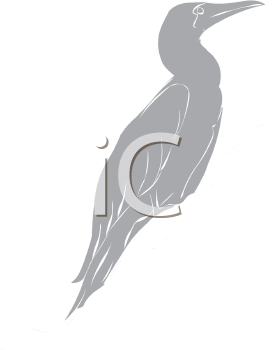 Bird Clipart