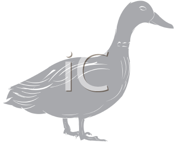 Bird Clipart