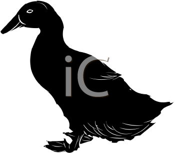 Bird Clipart