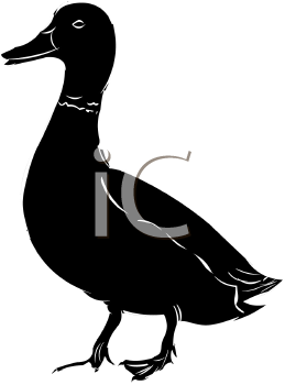 Bird Clipart