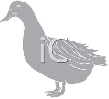 Bird Clipart