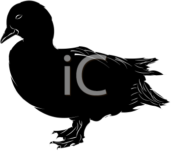 Bird Clipart