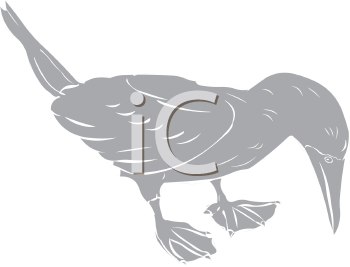 Bird Clipart