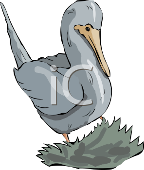 Bird Clipart