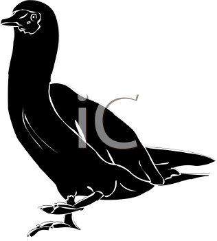 Bird Clipart