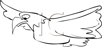 Bird Clipart