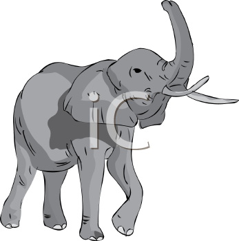 Mammal Clipart