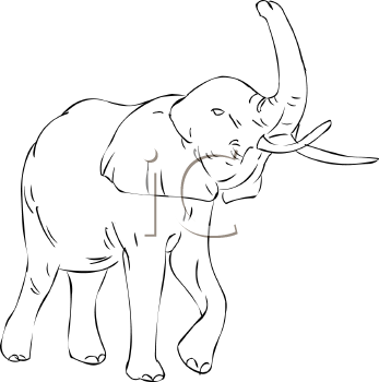 Mammal Clipart