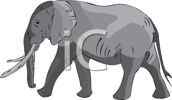 Mammal Clipart