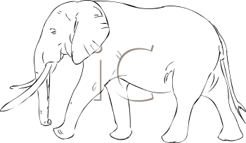 Mammal Clipart