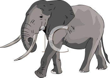 Mammal Clipart