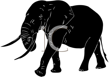 Mammal Clipart