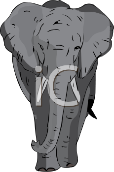 Mammal Clipart