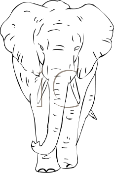 Mammal Clipart