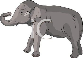 Mammal Clipart