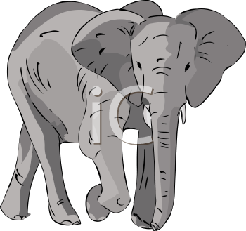 Mammal Clipart