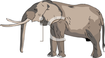 Mammal Clipart