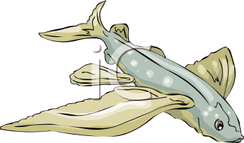 Fish and Sea Life Clipart