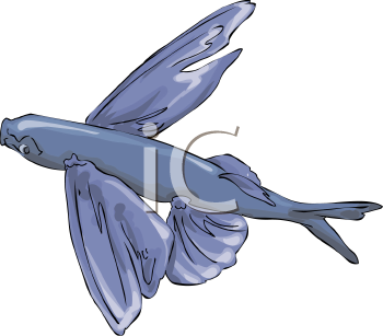 Fish and Sea Life Clipart