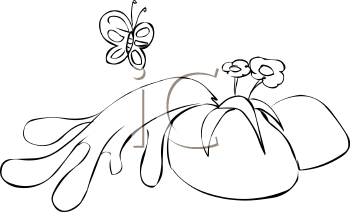 Insect Clipart