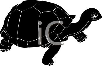 Reptile Clipart