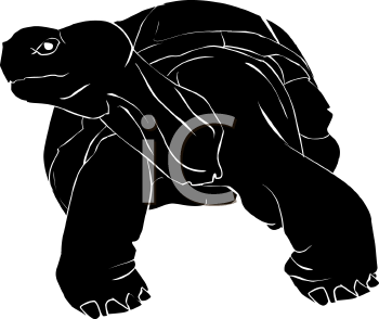 Reptile Clipart