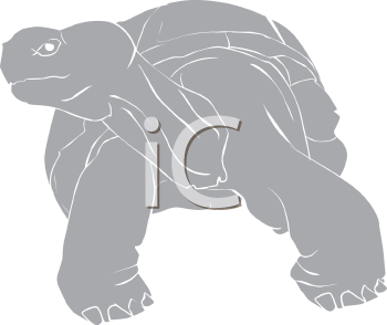 Reptile Clipart