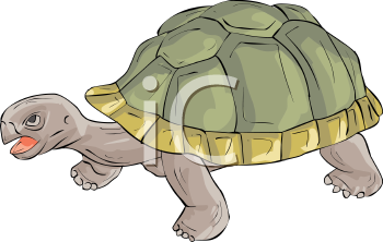 Reptile Clipart