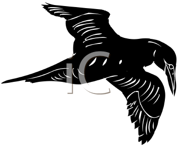 Bird Clipart