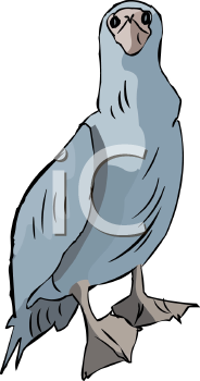 Bird Clipart