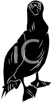 Bird Clipart