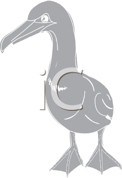 Bird Clipart