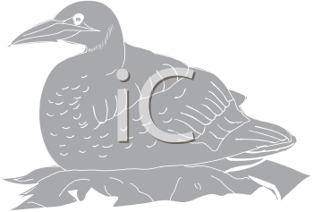 Bird Clipart