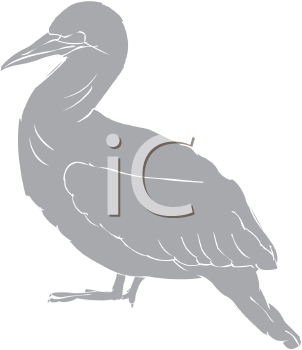 Bird Clipart