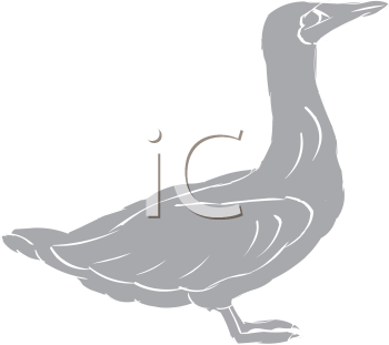 Bird Clipart