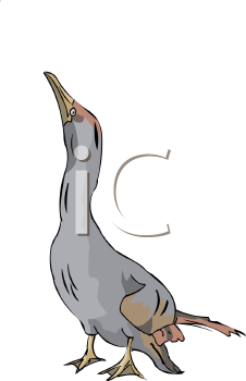 Bird Clipart