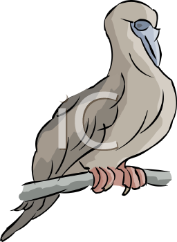 Bird Clipart